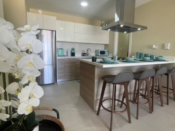 Penthouse a un solo paso del mar – Playa Nueva Romana