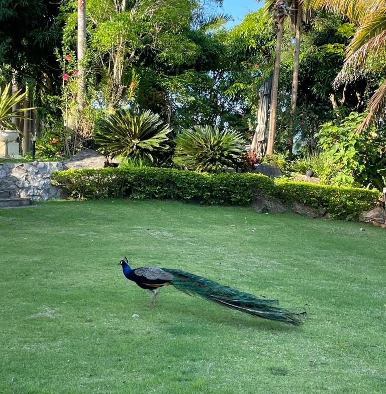 Villa de lujo con amplia finca en Villa Sombrero -Baní – Espacio, privacidad y potencial de inversión
