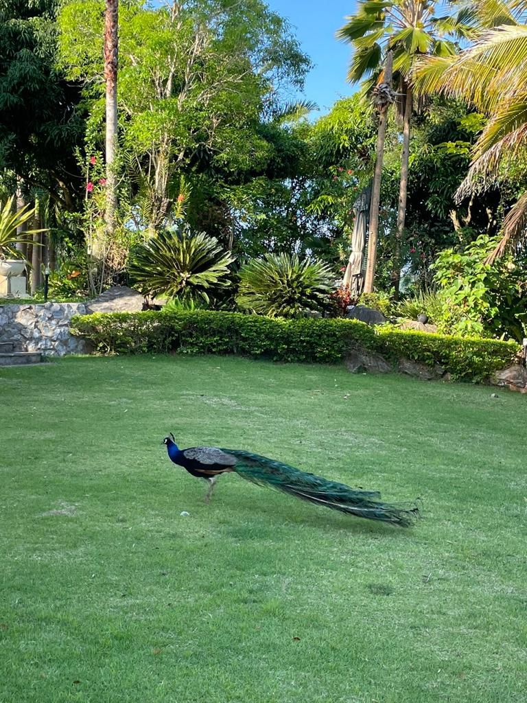 Villa de lujo con amplia finca en Villa Sombrero -Baní – Espacio, privacidad y potencial de inversión