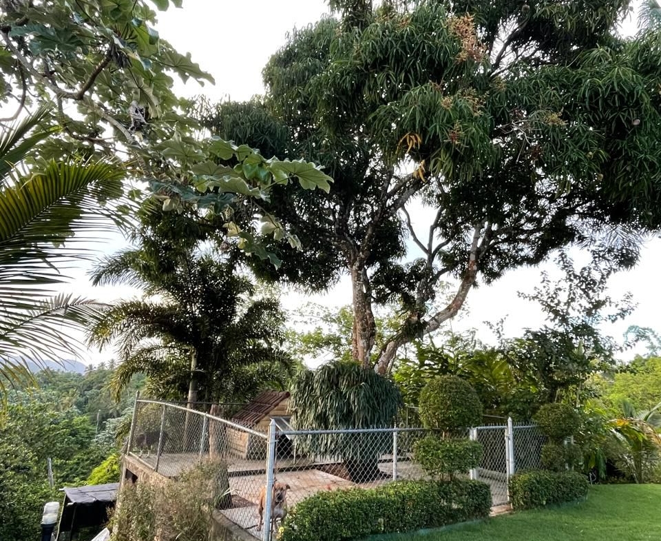 Villa de lujo con amplia finca en Villa Sombrero -Baní – Espacio, privacidad y potencial de inversión