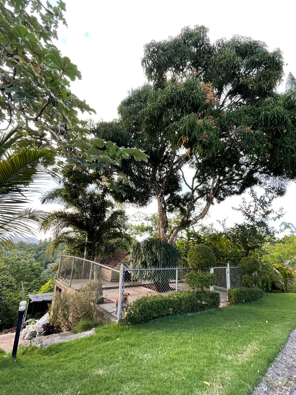 Villa de lujo con amplia finca en Villa Sombrero -Baní – Espacio, privacidad y potencial de inversión